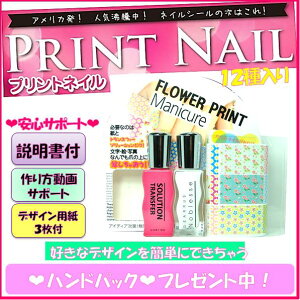 アメリカ ネイル デザインの人気商品 通販 価格比較 価格 Com