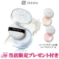 楽天市場】ディシラ ルースパウダー レフィルの通販 