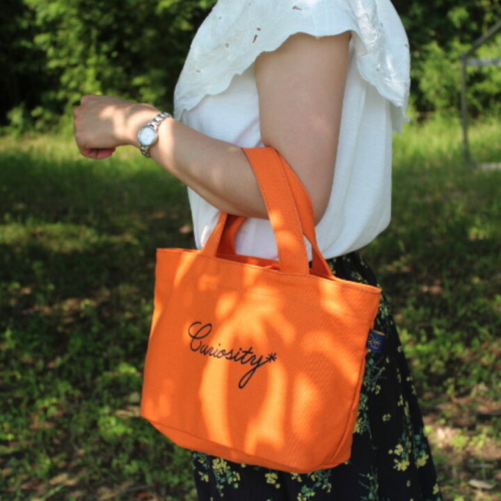 楽天市場 ディリーに活躍する シンプルなミニバッグ ファスナー付き ミニトートバッグ レディース キャンバス かわいい トートバッグ 大きめ 軽量 ランチバッグ 布 可愛い トートバッグ 小さめ ミニバッグ お弁当 サブバッグ トート バッグ 通勤 通学 黒 雑貨rm