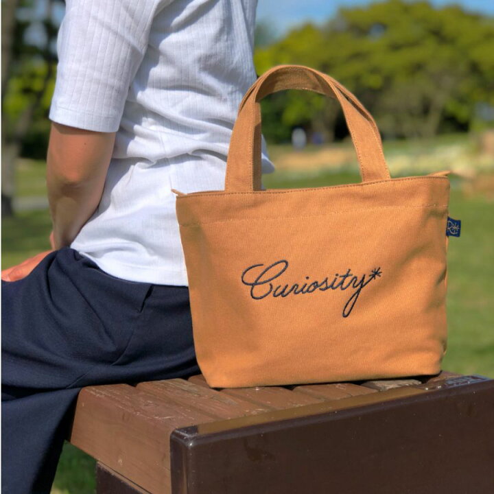 楽天市場 ディリーに活躍する シンプルなミニバッグ ファスナー付き ミニトートバッグ レディース キャンバス かわいい トートバッグ 大きめ 軽量 ランチバッグ 布 可愛い トートバッグ 小さめ ミニバッグ お弁当 サブバッグ トート バッグ 通勤 通学 黒 雑貨rm