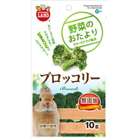 （まとめ）マルカン 野菜のおたより ブロッコリー 10g 小動物用おやつ 【×5セット】