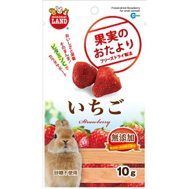 【ポイント5倍 4/20の5のつく日】 （まとめ）マルカン 果実のおたより いちご 10g 小動物用おやつ 【×5セット】