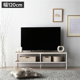 ＼ポイント8倍／ テレビボード テレビ台 単品 幅120cm ナチュラル オープンタイプ スチール ローボード インテリア家具 TV台 TVボード リビングボード ローテーブル プランターラック リビング家具 収納家具 ディスプレイ台 組立品