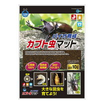 楽天市場】カブトムシ 下敷きの通販