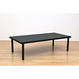 y|Cg7{IjxZ[z t[[e[u(Ƒ/PCfXN/Z^[e[u) ` 120cm×s60cm V3cm ubN()isj