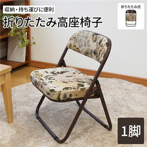 y{IP13{z y ֎q/܂肽݈֎q iSuj 44cm X`[ E^tH[ i ka rOl