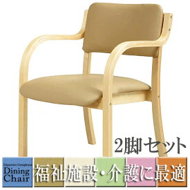 ＼ショップP5倍／ 肘付ダイニングチェア 福祉 介護 椅子 施設 デイサービス DC-530P お年寄り 肘掛け 介護イス 介護椅子 介護用椅子 介護 椅子 肘付 食堂 椅子 イス チェア 通い所 いす シルバー 業務用　同色2脚セット