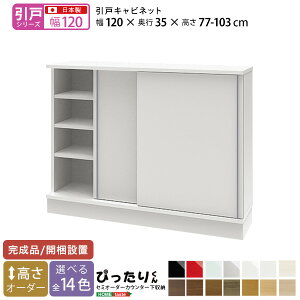 yP5{z i˃V[YjZ~I[_[JE^[[҂肭 Lrlbg 120cm×s35cm