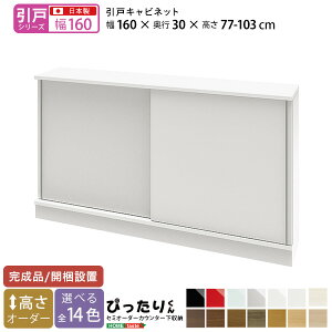 y9/17 P7{z i˃V[YjZ~I[_[JE^[[҂肭 Lrlbg 160cm×s30cm
