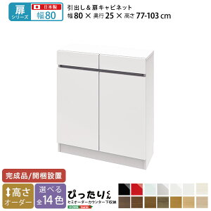 y|Cg8{I9/21z iV[YjZ~I[_[JE^[[҂肭 Lrlbg 80cm×s25cm