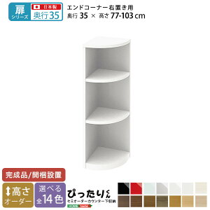 yP14{I9/10z iV[YjZ~I[_[JE^[[҂肭 GhR[i[Eu s35cm