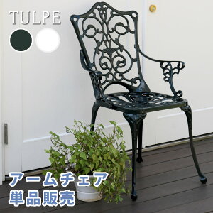 ウッドデッキ アルミ デッキ ガーデンチェアの人気商品 通販 価格比較 価格 Com ウッドデッキ アルミ デッキ ガーデンチェアの人気商品 通販 価格比較 価格 Com