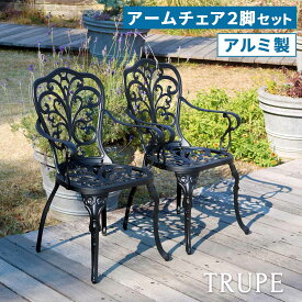アルミ製アームチェア2脚セット「トルペ」 BKS-C5289-2P チェア 椅子 スツール ファニチャー アルミ ガーデン 屋外 庭 ベランダ アウトドア 黒 ブラック
