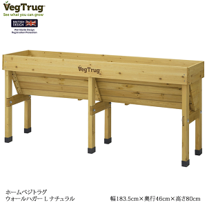 y|Cg7{IjxZ[z z[xWgO EH[nK[L CMX܂̃CYhxbh K[fjO ƒ؉ VGT-WH02F i`