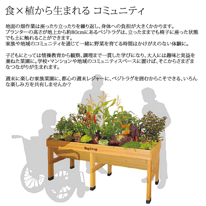 楽天市場】\ポイント8倍/ ホームベジトラグ ウォールハガー 楽天市場】\ポイント8倍/ ホームベジトラグ ウォールハガー