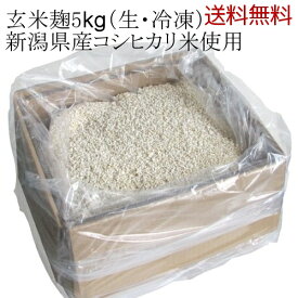 【送料無料】業務用 玄米麹 新潟県産コシヒカリ 五ぶつき玄米使用 5kg ダンボール入り 生麹 冷凍