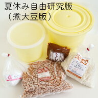 味噌作りキット 夏休み 自由研究 版 （煮大豆版） 出来上り1.6kg用 手作り 味噌づくり 材料セット