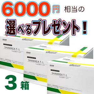 ^||@VEL-1@3@6000~̑IׂTvi撆I@03-5810-1901