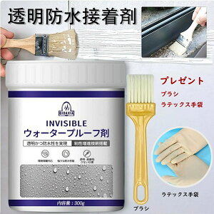 ŋz OǗphڒ hڒ 300g Ȗhڒ \hڒ pe ͐RC RC Rh~hڒ hڒܓ Cp ͔S 30