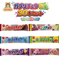 ガブリチュウ 30本セット 6種 選べる3タイプ コーラ ラムネ グレープ ホワイトソーダ ゴールドキウイ も…