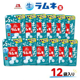 生ラムネ玉 12袋 ソフトキャンディ 大容量 駄菓子 森永製菓 おやつ まとめ買い お菓子 ラムネ ぶどう糖 とろける 新食感 ストック 口どけ 持ち歩き 休憩 糖分補給 メール便 ポスト投函 送料無料