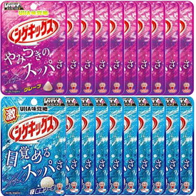 シゲキックス グレープ 激シゲキックス 極刺激ソーダ 各10個 計20個 大容量 アソート グミ おかし UHA味覚糖 ハードグミ 食べ比べ まとめ買い すっぱい 詰め合わせ
