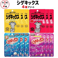 シゲキックス スーパーレモン スーパー梅ドライ グレープ 極刺激ソーダ 各3個 計12個 グミ ソフトキャン…