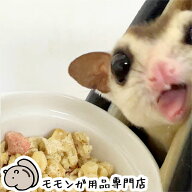 ゆうパケットOK たまごとミルクのフクロモモンガフードwithコオロギ 300g ももんがもんもん共和国オリジ…