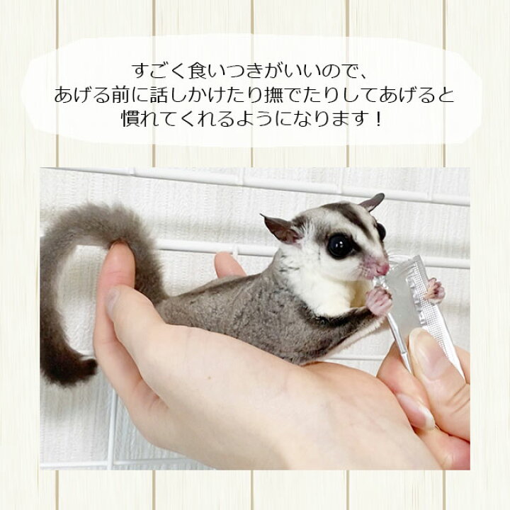 ハリネズミ・モモンガの チキンピューレ アップル&マンゴー 6袋 通販 CASA(マルカン) ハリネズミ・モモンガのチキンピューレ(チーズ)3袋 (アップル&マンゴー)3袋 計6袋セット