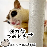 ゆうパケットOK 【強力ストロング】フクロモモンガの爪とぎバー ストレート型 ハードタイプ ももんがもん…