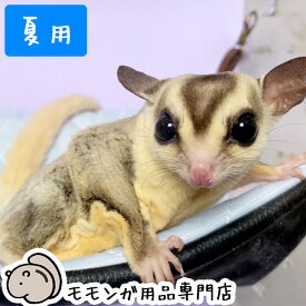 ゆうパケットOK ももんがもんもん共和国オリジナルハンモック02 夏用 ひんやりハンモック フクロモモンガ専用ハンモック ポーチ 寝袋 寝ぶくろ ねぶくろ 足場 フクロモモンガ 春夏のおすすめ メール便対応