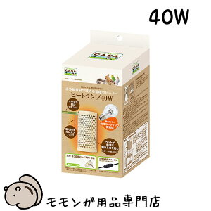 }J CASA q[gv 40W g[ObY tNK H~̂