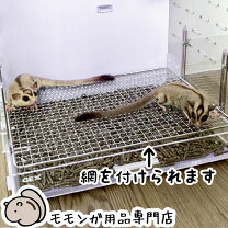 楽天市場】フクロモモンガ ケージ アクリルの通販