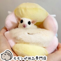 楽天市場】モモンガ ポーチ（ハンモック｜小動物用品）：ペット 