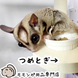 フクロモモンガの爪とぎステージ05 食器が付いたステージ 足場 ももんがもんもん共和国オリジナル 爪切り補助 爪ヤスリ効果 フクロモモンガ