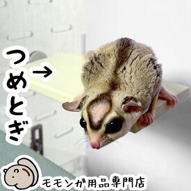 【新商品】ゆうパケットOK フクロモモンガの爪とぎステージ06 ももんがもんもん共和国オリジナル 爪切り補助 爪ヤスリ効果 フクロモモンガ シマリスやデグーにも使えます メール便対応【動画あり】