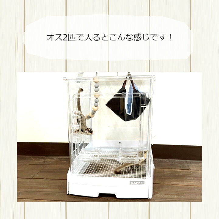 楽天市場】【新商品】SANKO イージーホーム クリアー モモンガ40 WH  