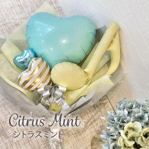 o[ sAm Ȃ y\  ty   E t ɂ j ̎q  D o[u[P D yn[j[z