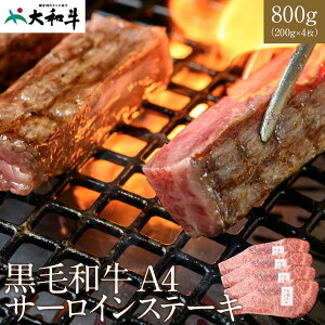 ē aA4T[CXe[L 800gi200g×4j  a4  a uh ~  񂹃O er ē Dē Xe[L T[C