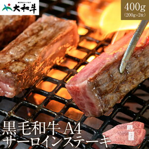 ē aA4T[CXe[L 400gi200g×2j  a4  a uh ~  񂹃O er ē Dē Xe[L T[C
