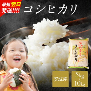 茨城県産 コシヒカリ」の人気商品一覧・価格比較 - 価格.com