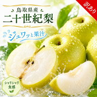 鳥取県産 二十世紀梨 約2kg(4~7玉)/約5kg(11~18玉) フルーツ 秋 梨 新高梨 新甘泉 二十一世紀梨 ブランド…