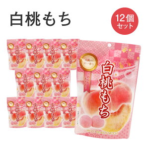 R 130g()×12܃Zbg   aَq XC[c t[c ʕ Mtg yY yY 蕨  Yi  Zbg