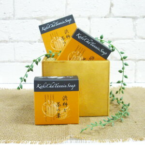 3Zbg JL`^j\[v@100g(ΌASgΌ)