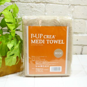 yzte s[Abv NA fB^I x[W