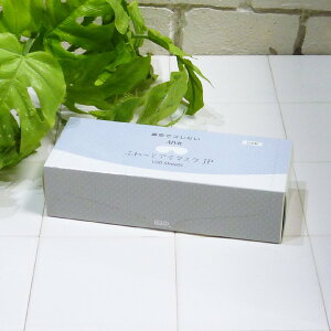 [(A)] ACr ӂƃAC}XNJP 100 FA-23F02