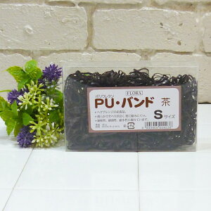 t[ FLORA PUEoh  S 30g