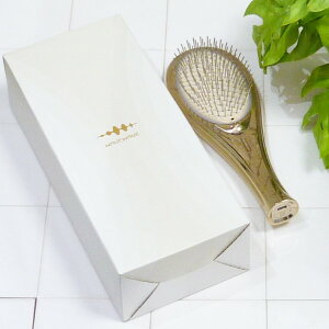 yiEjz WAVEWAVE EMS Brush Air wAuV WH41-01 S[h
