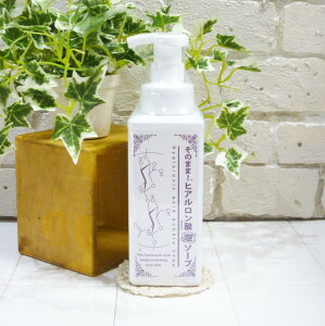 ̂܂܁IqA_A\[v 500ml A^Cv痿