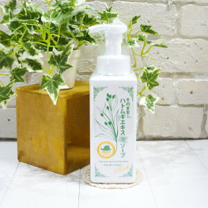 ̂܂܁IngMGLXA\[vb` 500ml A^Cv痿